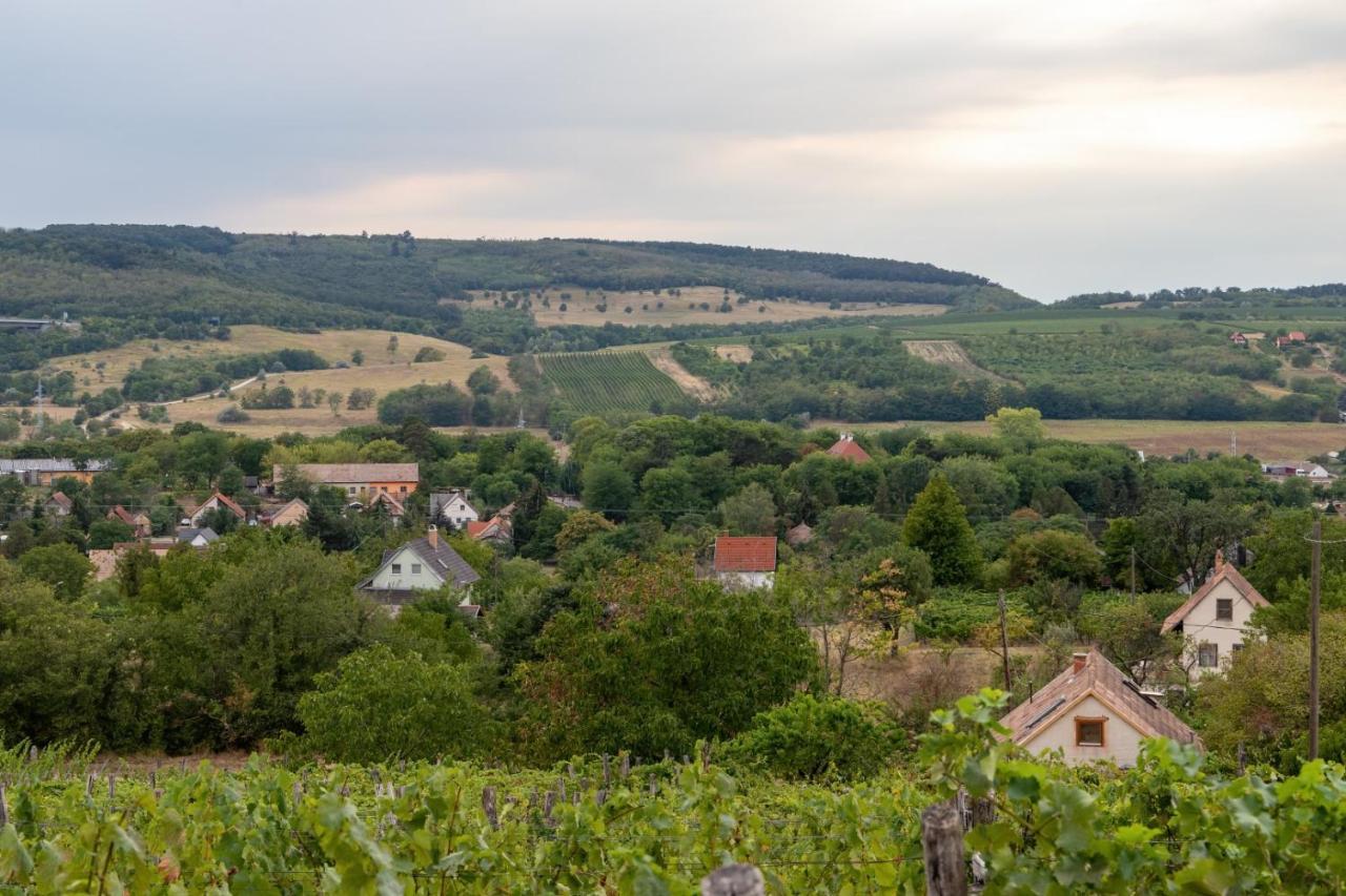 Willa D.Five Vineyard & Retreat Koroeshegy Zewnętrze zdjęcie